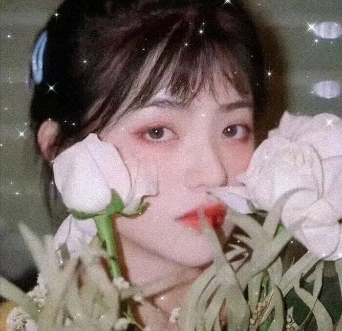狗仔窥视界